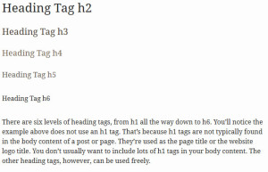 Examples of h1, h2, h3, h4, and h5 tags with body content text.
